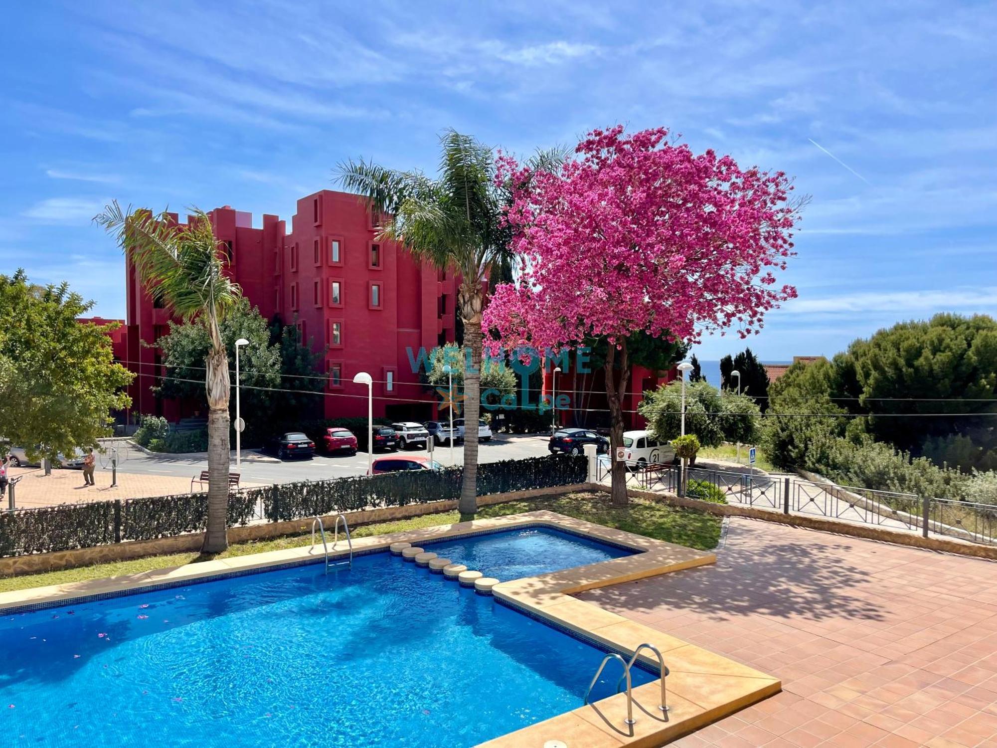 Manzana Bonito Y Comodo Apartamento Con Piscina 칼페 외부 사진
